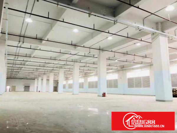 凤岗碧湖大道楼上2500平方豪华精装修水电办公室无公摊出租