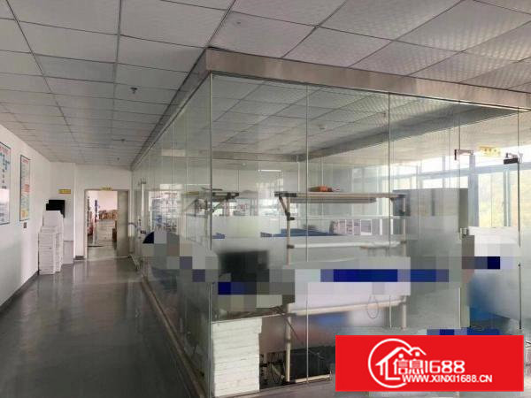 南栅高薪产业园厂房出租2楼850平方带精装修工业用地可办环坪