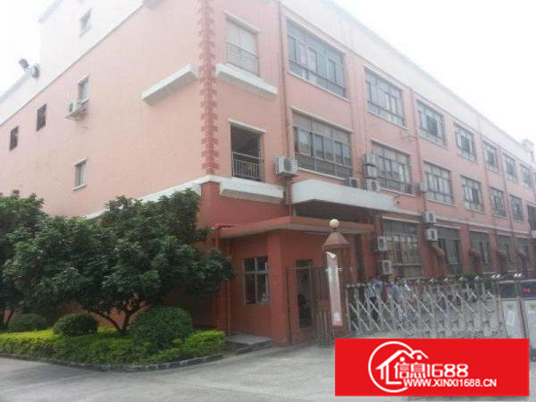 出租龙岗坪地厂房框架结构层高6米价格美丽公摊小