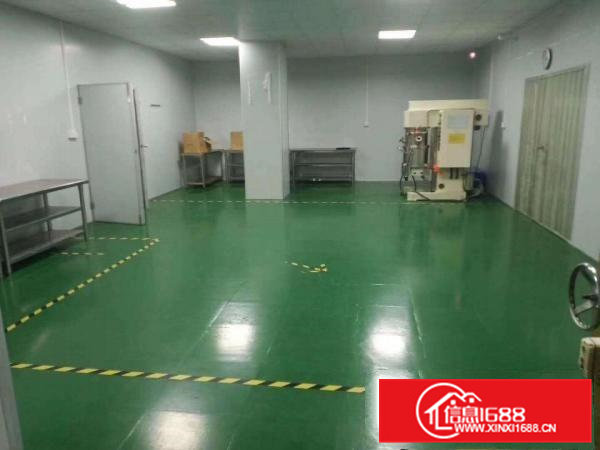 大岭山新出无尘车间随时拎包入住标准厂房1000平出租12元
