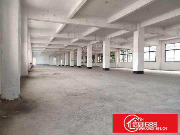 厂房招租300平可电商贸易办公生产特价出租紧邻盐田港交通便利