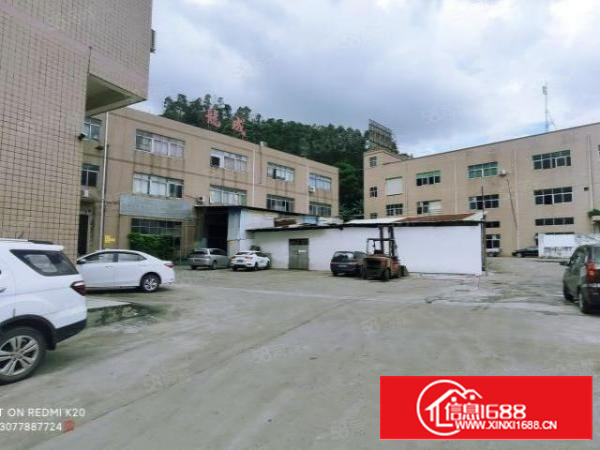 三联原房东三楼实际面积出租整层1000平方