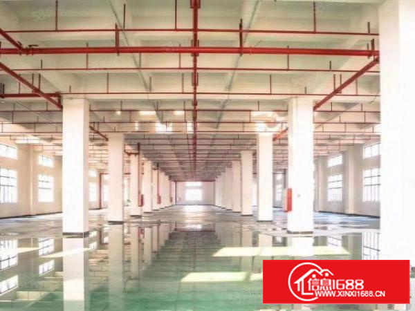 新出原房东静盘，价格实惠