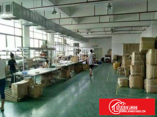 精装电子厂房出租清溪楼上600平厂房