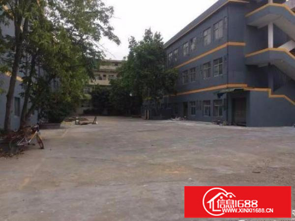 出租龙岗区坪地龙岗大道旁全面翻新独院厂房