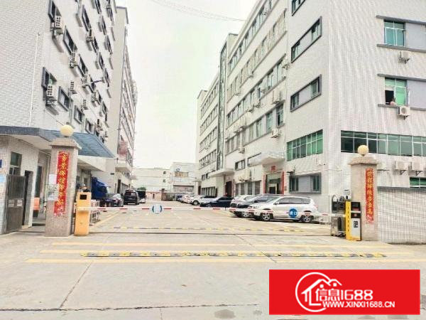 清溪镇谢坑村带精装修办公室500平标准厂房出租