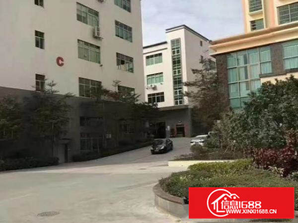 观澜樟阁2400平方厂房