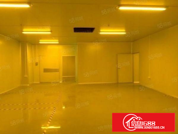 厂房出租楼上1050平无尘车间现成水电豪华办公室无转让费