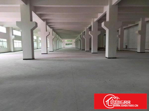 全新厂房出租价格便宜