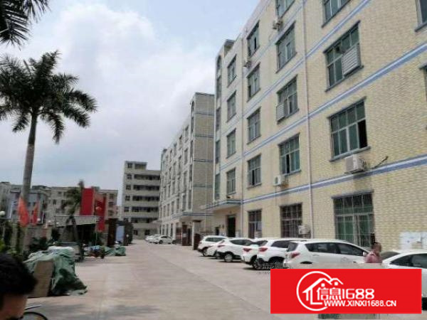 出租坪山区坑梓龙田大型工业园楼上整层1300平厂房14元出租