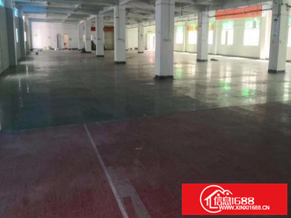 横岗六约独院厂房便宜出租，4800平水电齐全