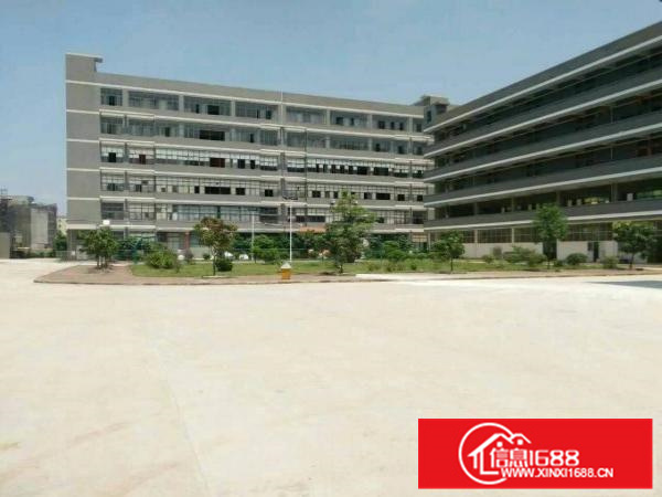 沥林高速出口附近超靓厂房20000平米，可分租