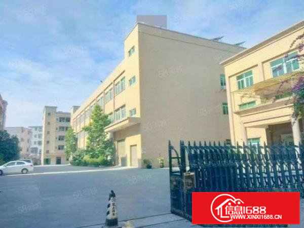 大岭山新空楼上1000平方整层精装修厂房出租