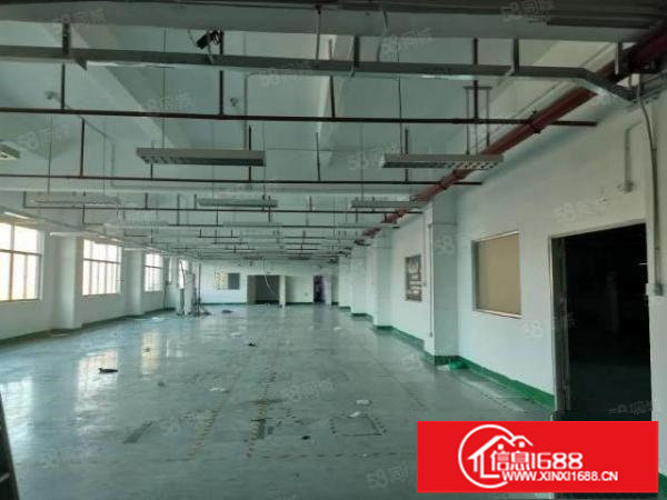 坂田五和大道边单层1400平原房东带装修电子生产厂房免转让费