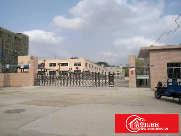 平湖白泥坑5000平方单层配送仓库出租