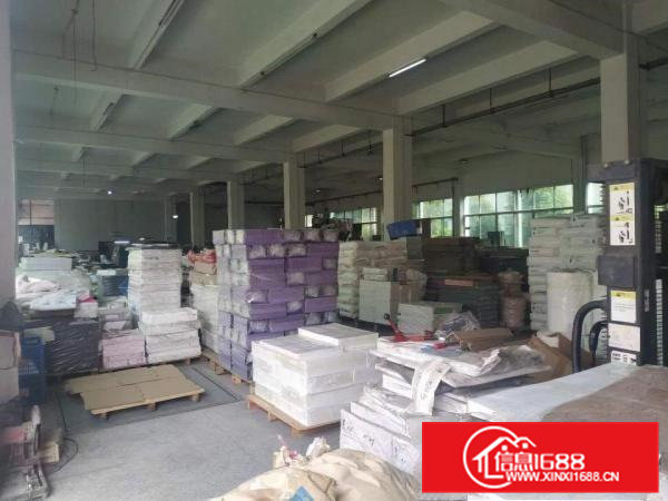 原房东红本精装修独院低价出租6500平方