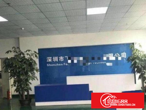 原房东出租500平厂房，价格便宜，光线十足