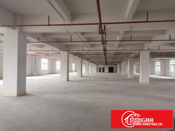 龙岗坪地工业园4000平钢构大小分租