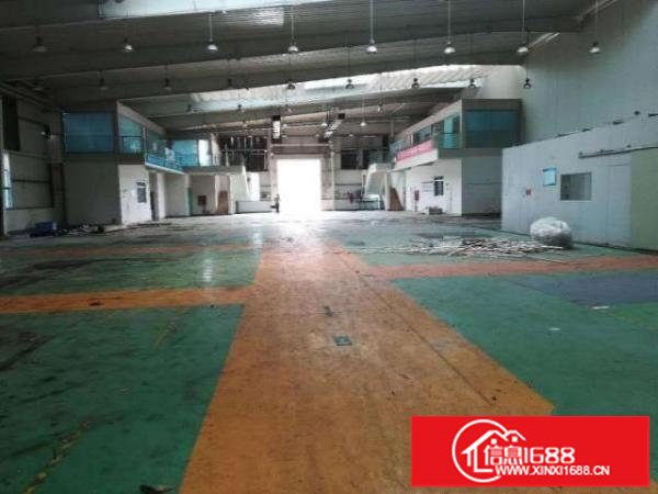 惠阳秋长新出滴水全新9米高钢构共24000平方（可分租）