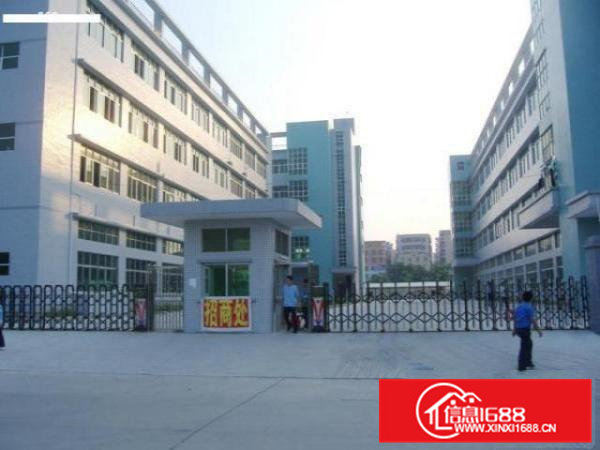 高埗现有500-2000平方厂房招租分租周边配套齐全有绿化