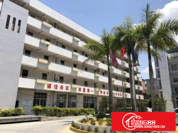 坪山水官高速出口边新出520平米，滴水7米