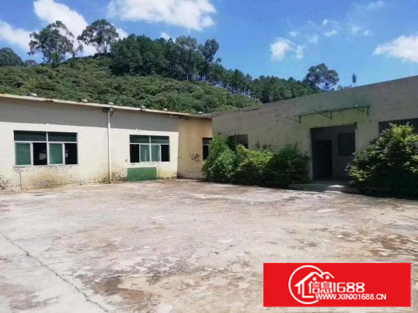 塘厦田心新出钢构独院1400平，滴水6米，微偏可噪音粉尘污染