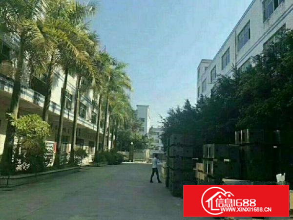 龙岗平湖独院二楼1500平米带装修/分租