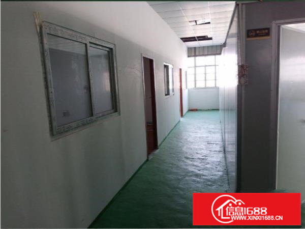 大岭山国道附近新出3楼厂房1650平方精装修厂房，只租8.8