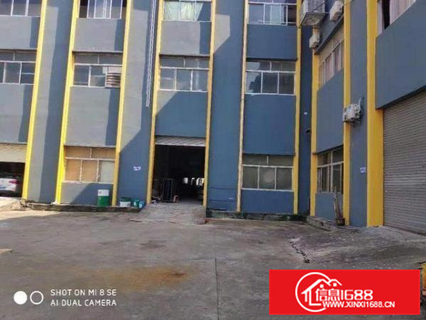 高埗原房东一楼1000平方或者800平方