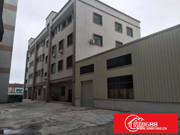 桥头全新厂房出租