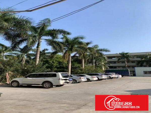 出租谢岗燕东工业区鼎嘉工业园厂房