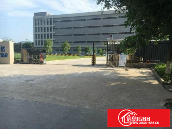 龙岗红本高新科技园3万平方300平起分租一楼7米