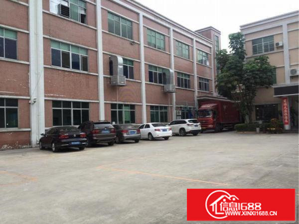 坪山新出一楼1000平厂房出租有3000平空地