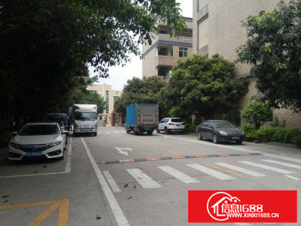 观澜樟坑径新原房东1500平精装厂房出租