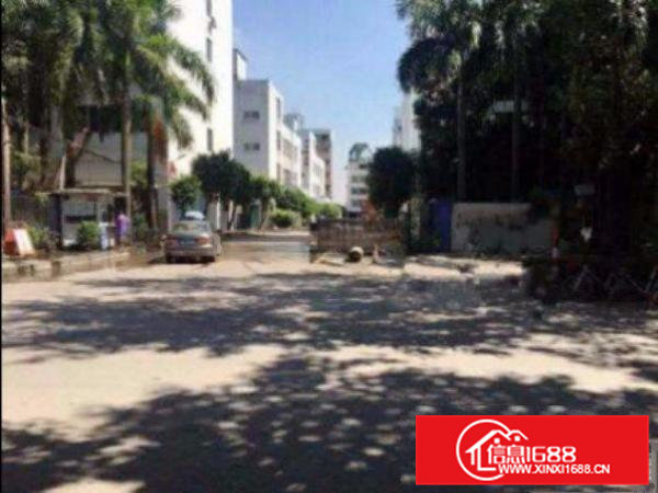 常平芦溪标准一楼1900平出租交通方便水电齐全空地大