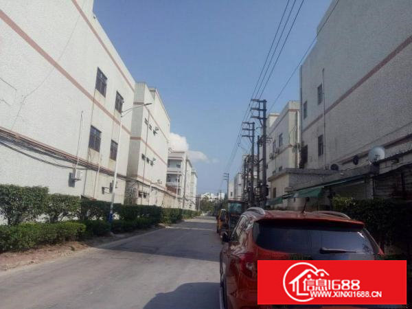 坪山新区6900平方红本独院厂房