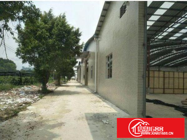 坪山江边村单一层钢构3000平米低价出租