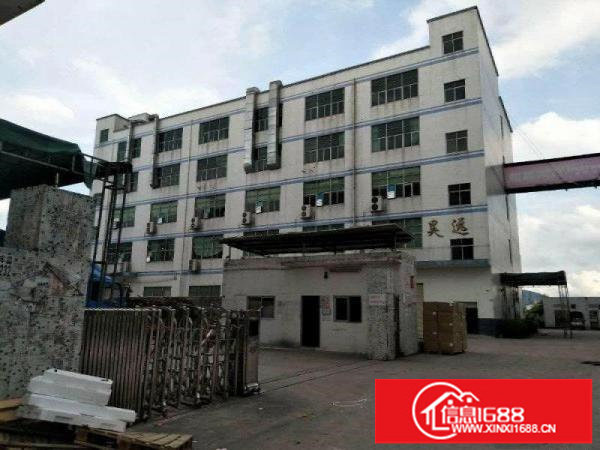 龙岗同乐原房东一楼带装修标准厂房1684平招租（可分租）