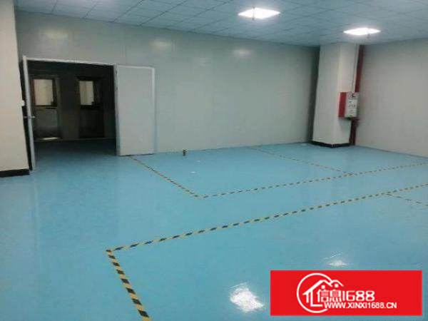 工业区分租现成无尘车间