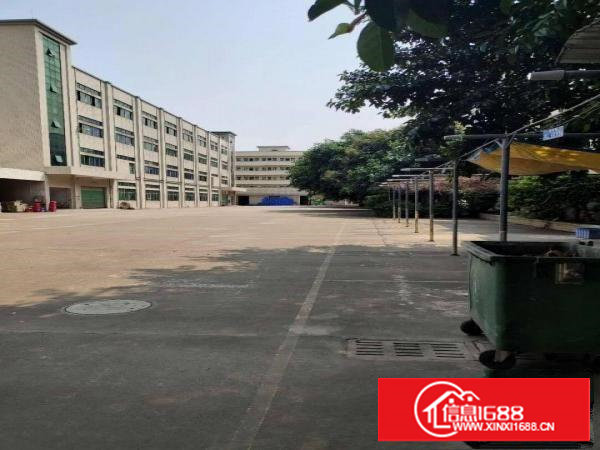 塘厦石马原房东直租1楼1740平方！高6米！现成主线办公室