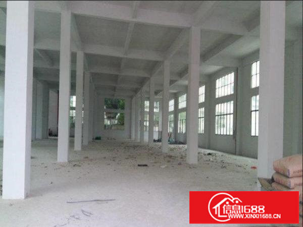 横岗六约一二楼955平米1500平带装修原房东