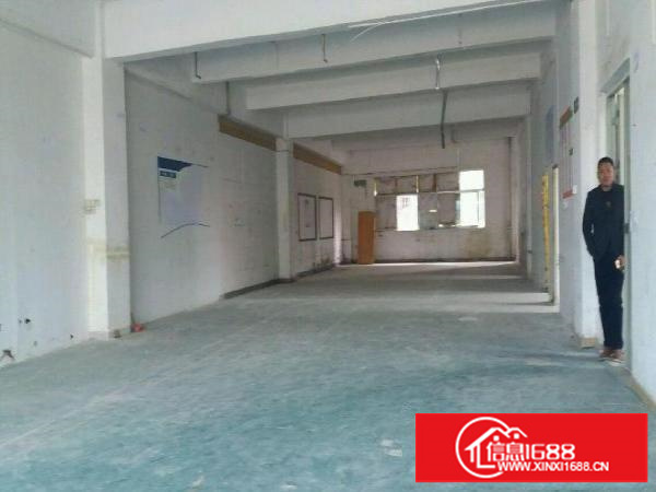 真实房源爱联工业区宝荷路厂房550平米16元出租