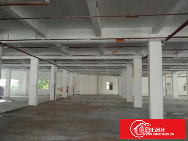 高埗保安围1300平方楼房1楼层出租水电齐全