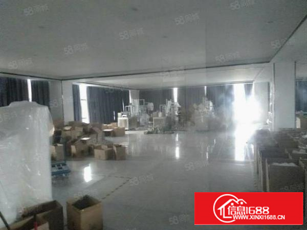 凤岗新出1000平豪华装修原房东厂房整层园区形象气派大气