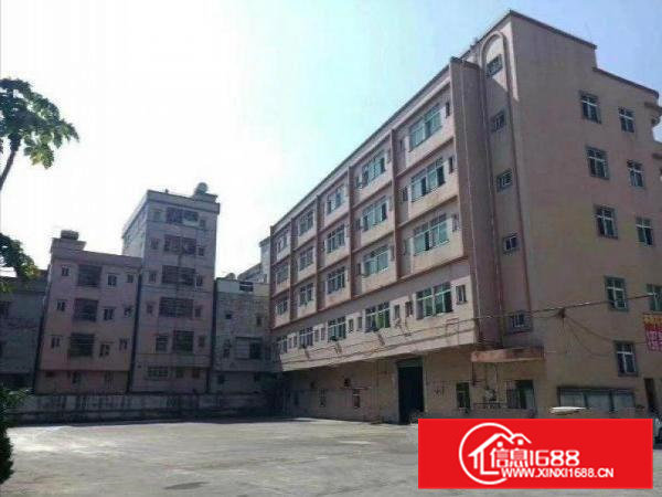 清溪镇三中新空出（实际面积）一楼500平精装修厂房招租