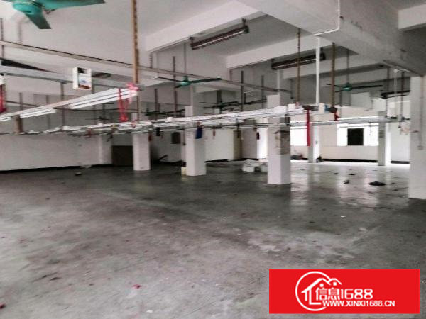 楼高八层，每层700㎡，电梯配套，专人管理，房东直租