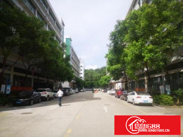 观澜章阁大富工业区新出大型园区花园式2楼1780平厂房出租