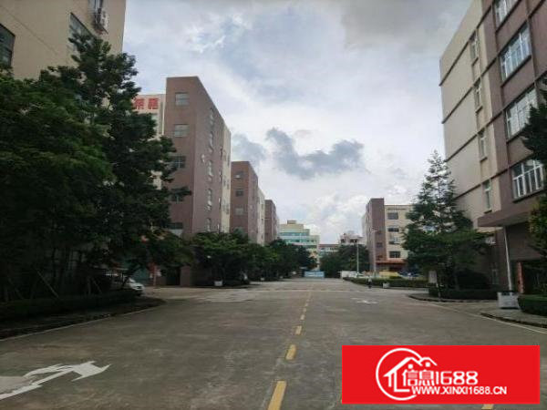 原房东新生3000平厂房出租100平起分红本厂房招租