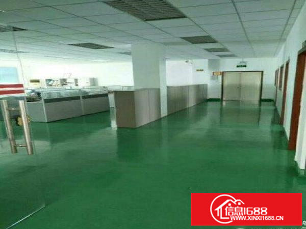 横岗大康沙荷路二楼1550平带装修厂房出租可分租