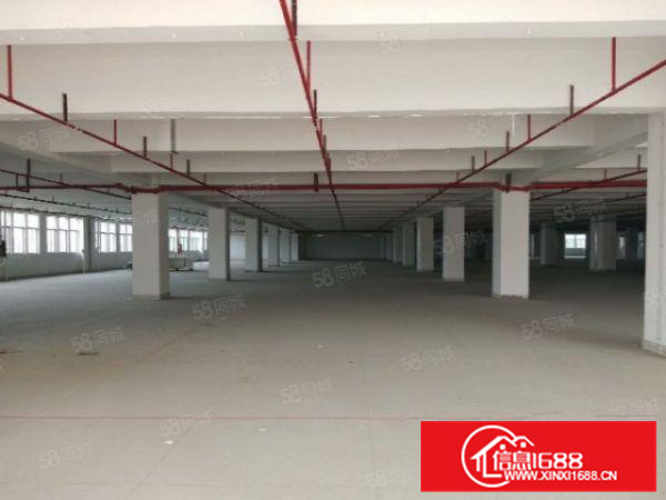 五沙工业区2300方厂房出租形象好方正整洁价格优惠